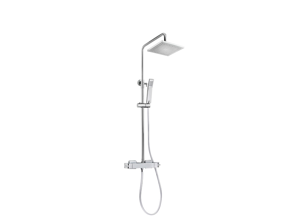Dual control shower system