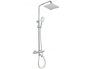 Dual control shower system