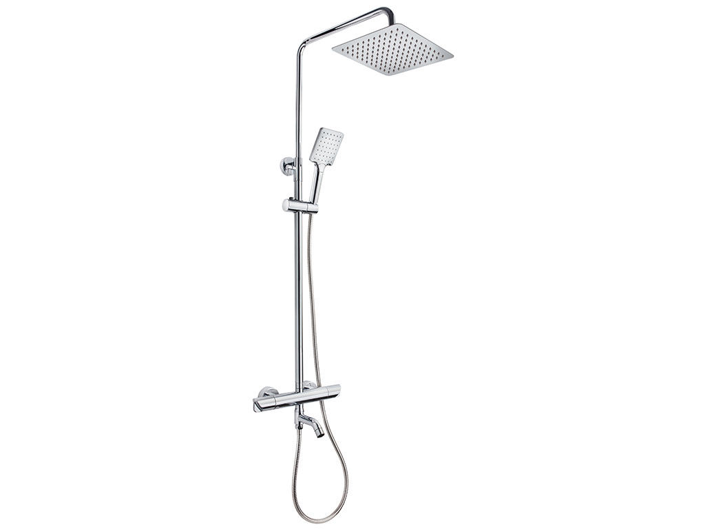 Dual control shower system