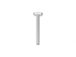 Vertical shower arm