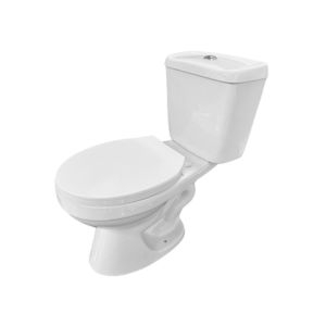 Floor toilet